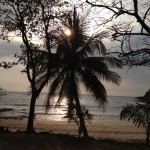 summer sun